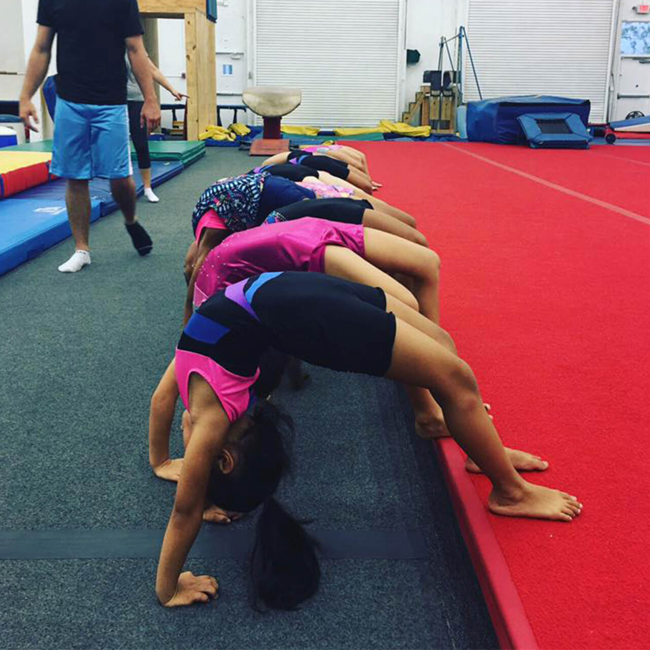 RECREATIONAL - NOVA GYMNASTICS